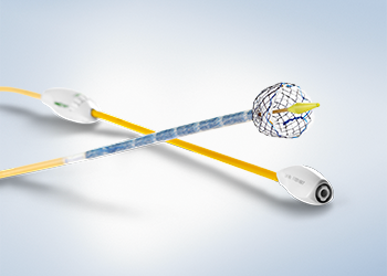 HANAROSTENT™ Esophagus Line of Metal Stents