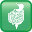 Gastroenterology