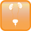 Urology