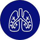 Pulmonology