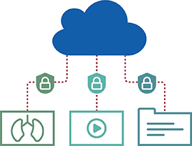 Safeguarding sensitive information